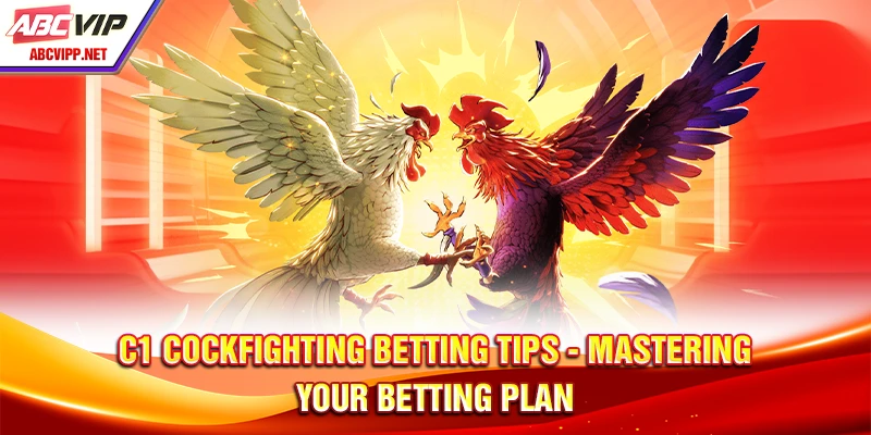 C1 Cockfighting Betting Tips - Mastering Your Betting Plan